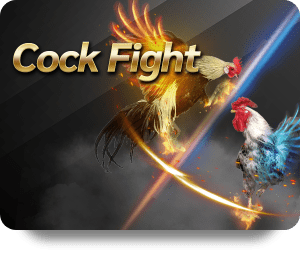 Explore Thrilling Features of BK8 Slot Baccarat Experience Today